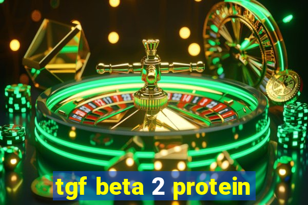 tgf beta 2 protein